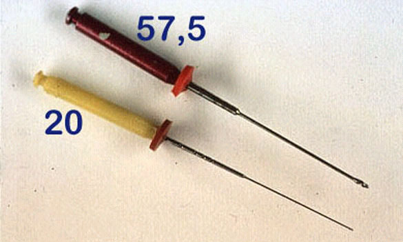 Limas do Sistema Lightspeed