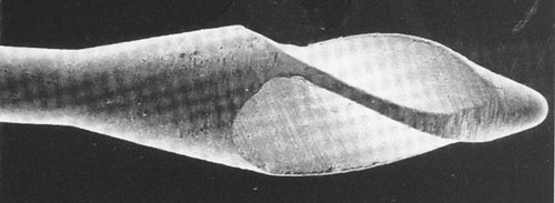 Ponta ativa da lima do Sistema Lightspeed