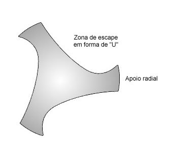 Corte transversal de lima Lightspeed