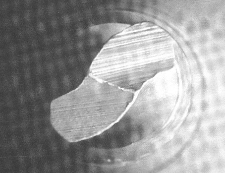 Corte transversal da lima Quantec