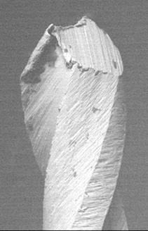 Lima Quantec s�rie 2000